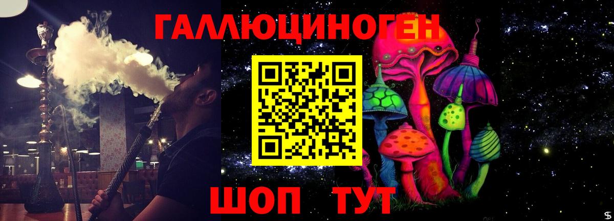 Галлюциногенные грибы Magic Shrooms Сланцы