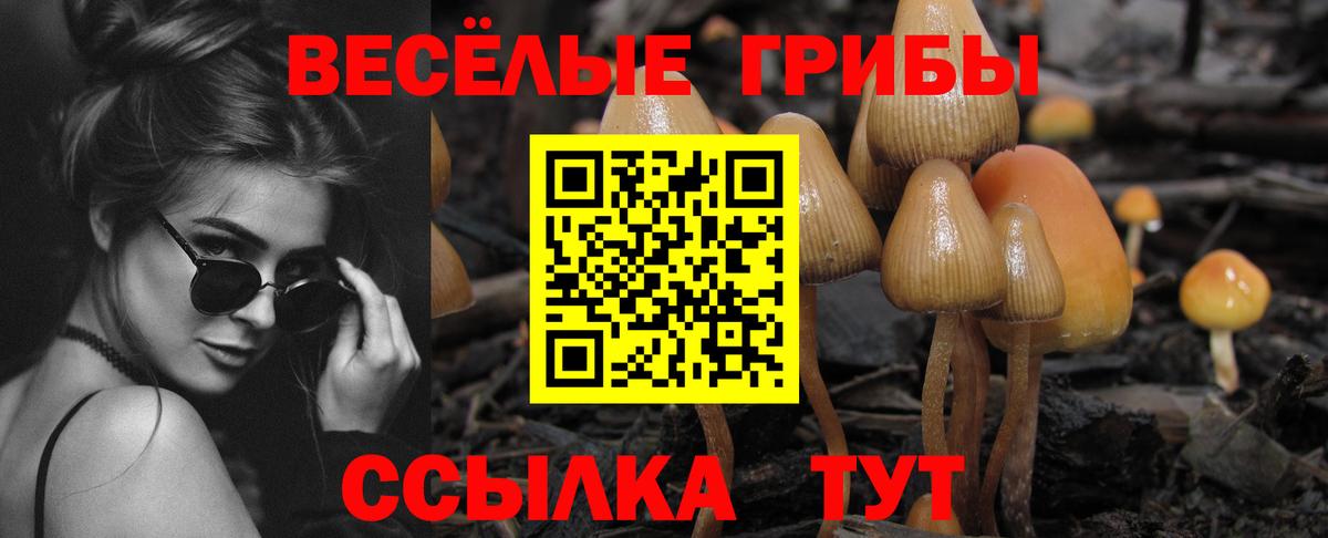 КОКАИН  Конопля  Вход с VPN  МДМА  МЕФ кристаллы  Сланцы  ГАШИШ 