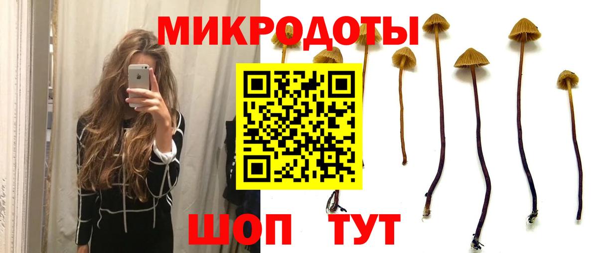 Сланцы  Галлюциногенные грибы MAGIC MUSHROOMS  Вход с VPN  Псилоцибиновые грибы мицелий 